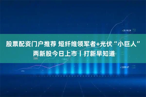 股票配资门户推荐 短纤维领军者+光伏“小巨人” 两新股今日上市丨打新早知道